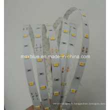 DC12V 5m Reel 30LEDs / M 5630 SMD LED Strip Light